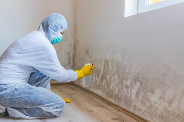 Licensed Crawl Space Mold Remediation service in McBain, MI - Mold Remediation HQ