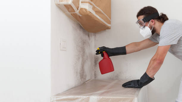 Professional Crawl Space Mold Remediation technician working in McBain, MI
