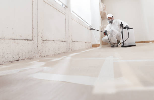24/7 Emergency Crawl Space Mold Remediation experts in McBain, MI