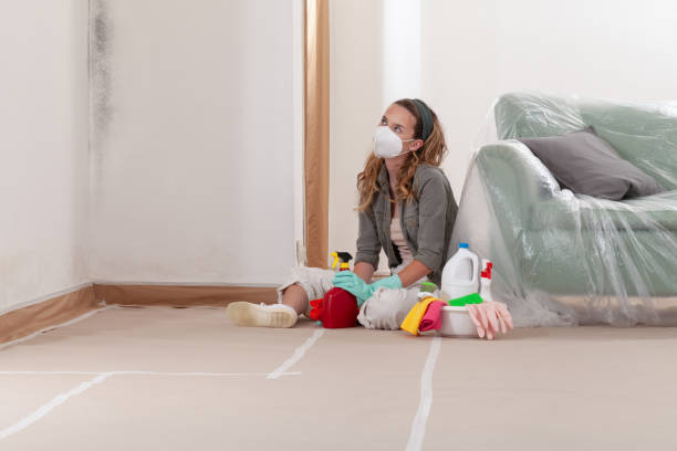 Reliable Crawl Space Mold Remediation contractor in McBain, MI by Mold Remediation HQ