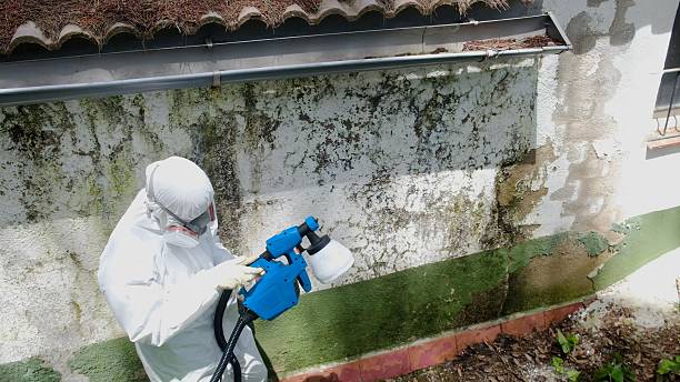 Top rated local Crawl Space Mold Remediation specialists in McBain, MI